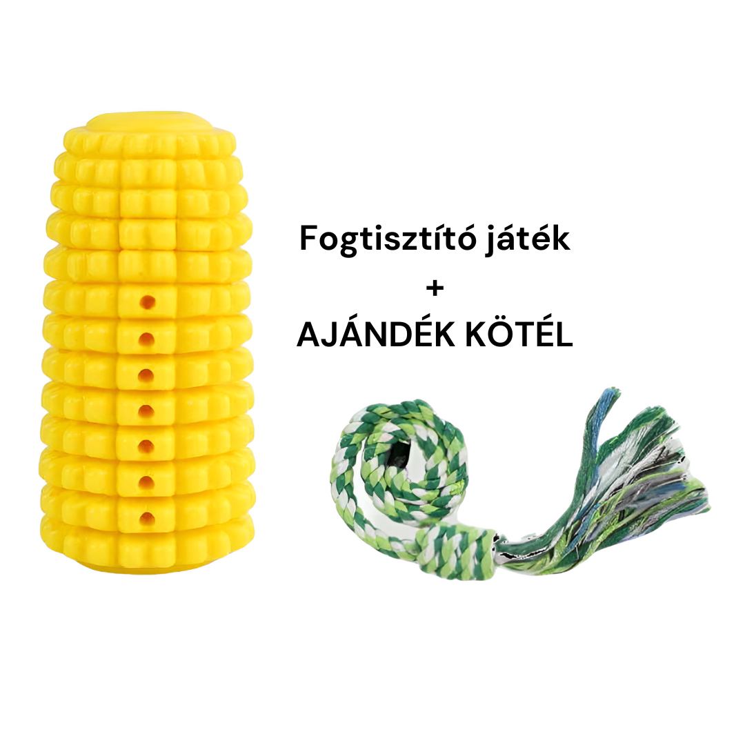 Fogtisztító játék - ajándék kötéllel